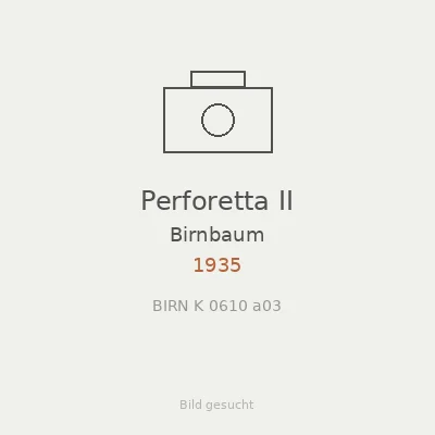 Perforetta II