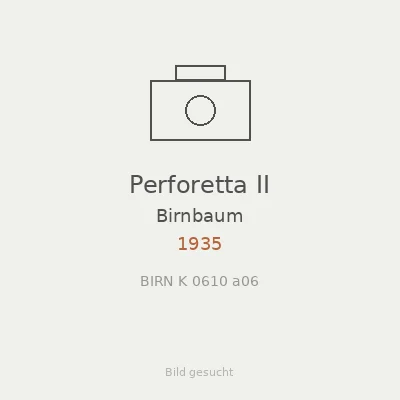 Perforetta II