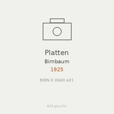 Platten