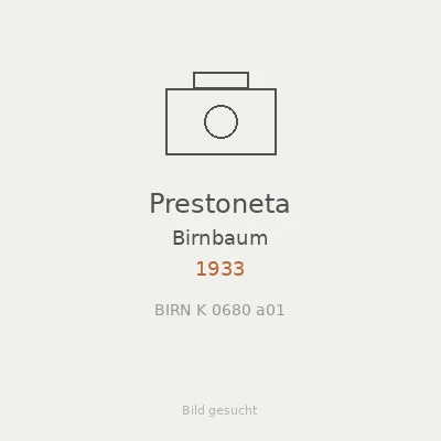 Prestoneta