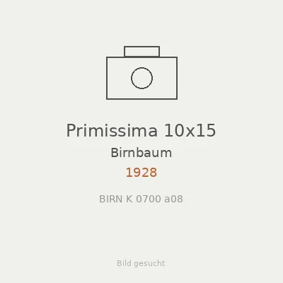 Primissima 10x15
