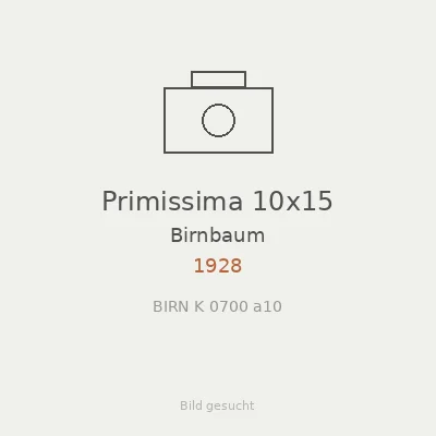 Primissima 10x15