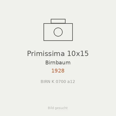 Primissima 10x15