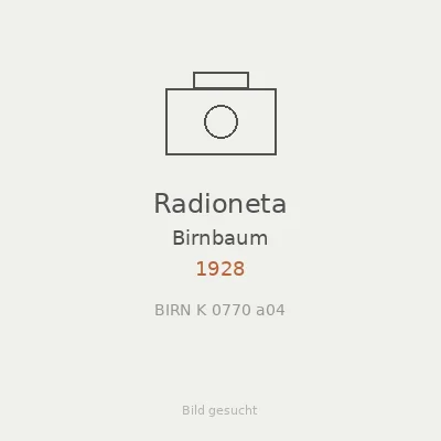 Radioneta