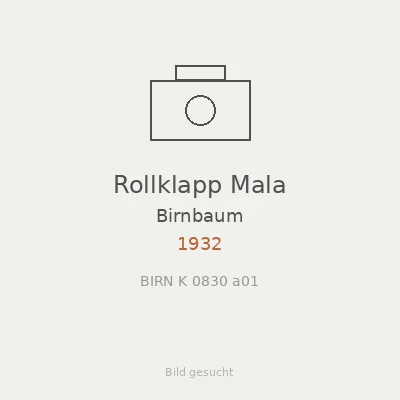 Rollklapp Mala