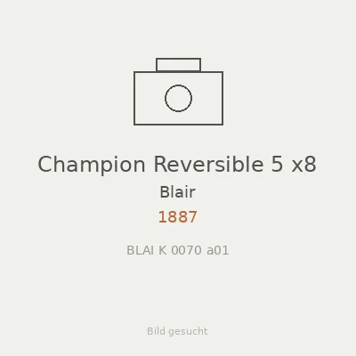 Champion Reversible 5 x8