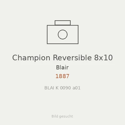 Champion Reversible 8x10
