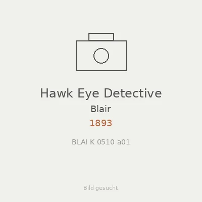 Hawk Eye Detective
