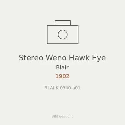Stereo Weno Hawk Eye