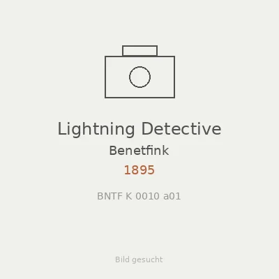 Lightning Detective