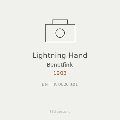 Lightning Hand