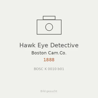 Hawk Eye Detective