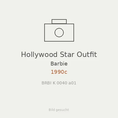 Hollywood Star Outfit