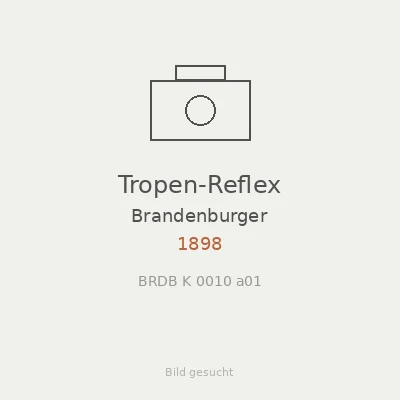 Tropen-Reflex