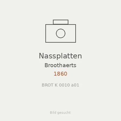 Nassplatten