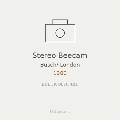 Stereo Beecam