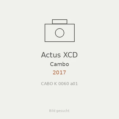 Actus XCD