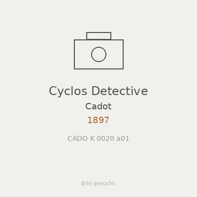Cyclos Detective
