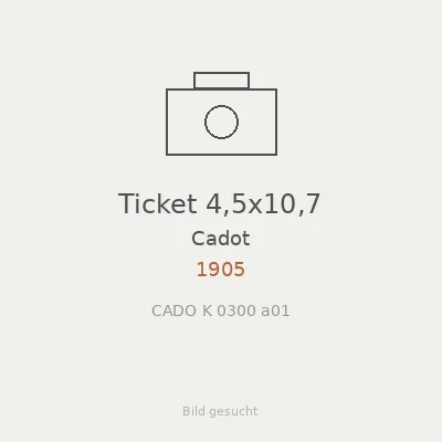 Ticket 4,5x10,7