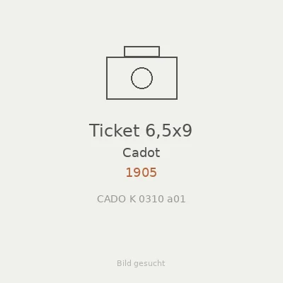 Ticket 6,5x9