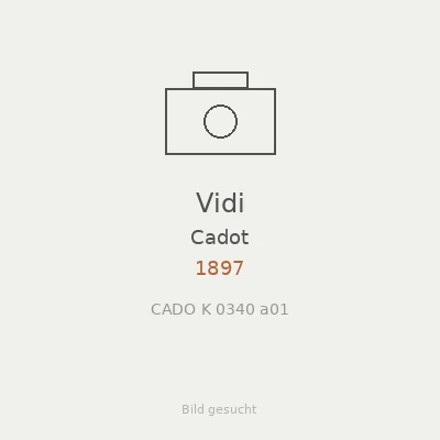 Vidi