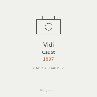 Vidi