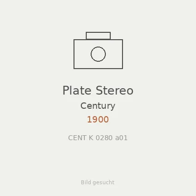 Plate Stereo