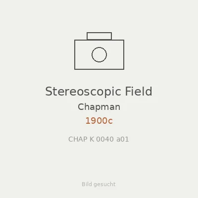 Stereoscopic Field