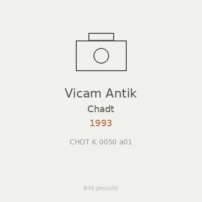 Vicam Antik
