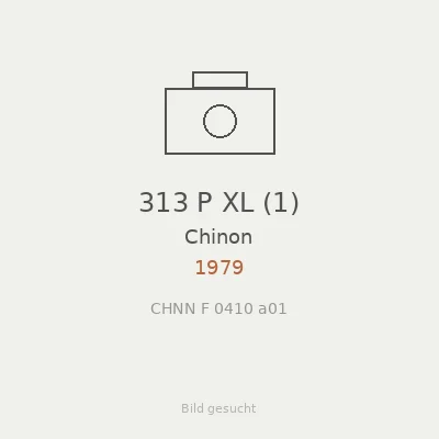 313 P XL (1)