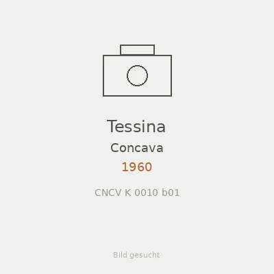 Tessina