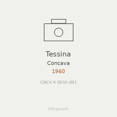 Tessina