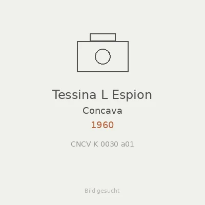 Tessina L Espion