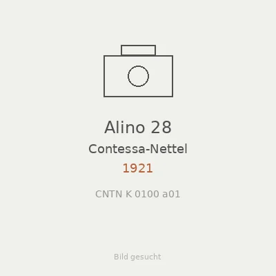 Alino 28