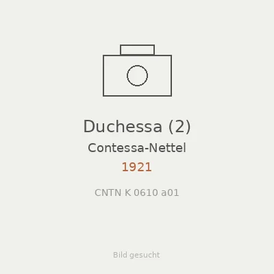 Duchessa (2)
