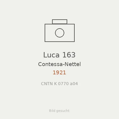 Luca 163