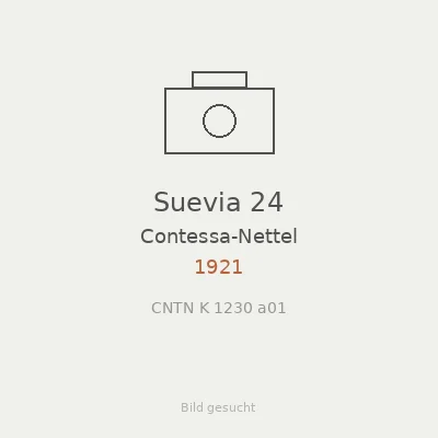 Suevia 24