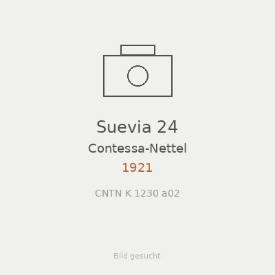 Suevia 24
