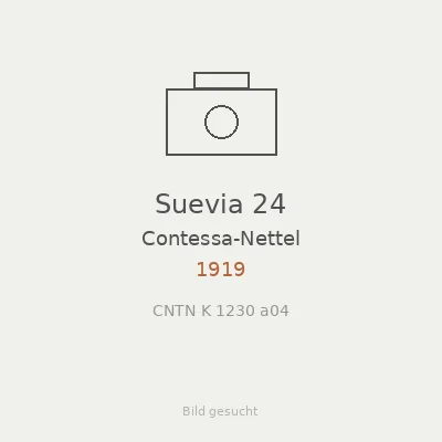 Suevia 24
