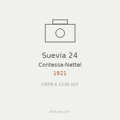 Suevia 24