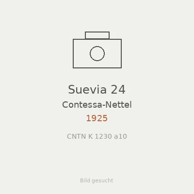 Suevia 24