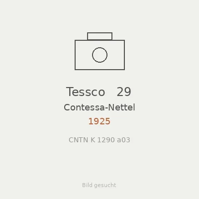 Tessco   29