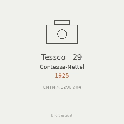 Tessco   29