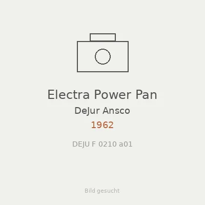 Electra Power Pan