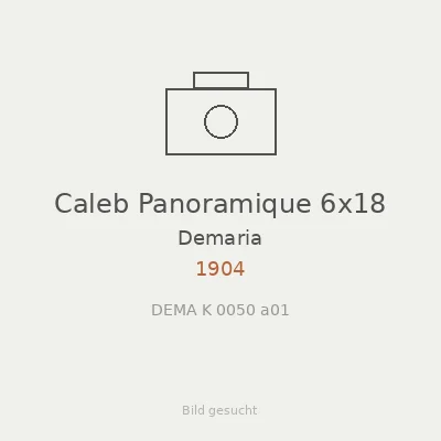 Caleb Panoramique 6x18