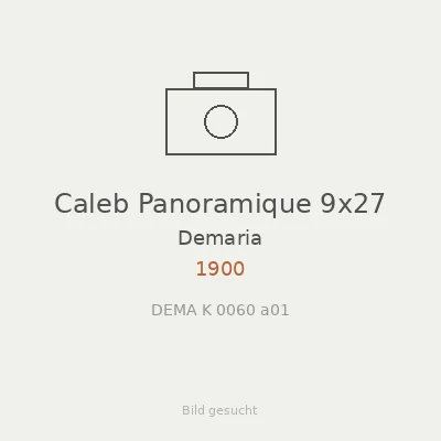 Caleb Panoramique 9x27