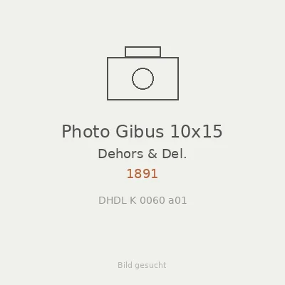 Photo Gibus 10x15