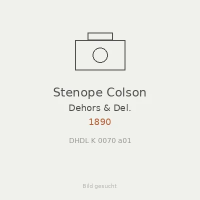 Stenope Colson