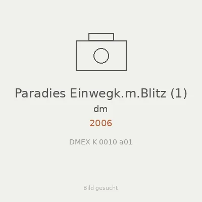 Paradies Einwegk.m.Blitz (1)