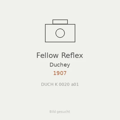 Fellow Reflex